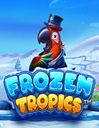 วิธีเล่น slot pg ใหม่ ที่คุณต้องรู้